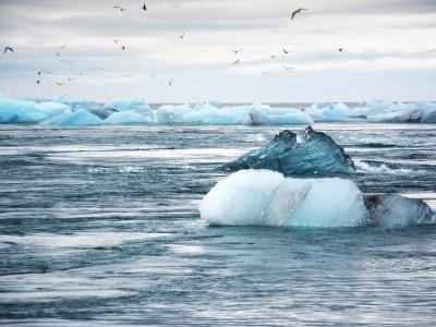 Bereit für das Klima von morgen?